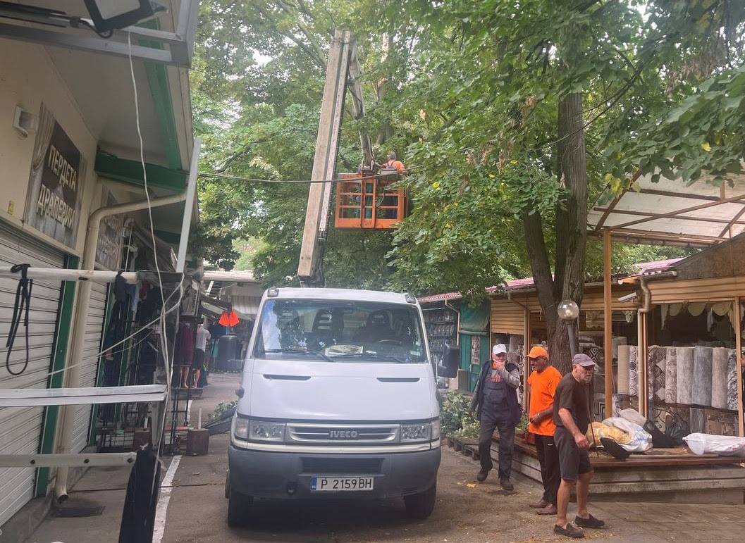 Общината разчиства след бурята